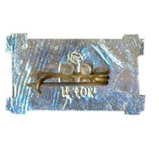 Значок город SAIESANA — музей (вид 2)