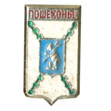 Значок Пошехонье