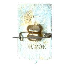 Значок Пошехонье (вид 2)