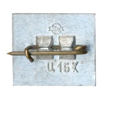 Значок Саласпилс (вид 2)