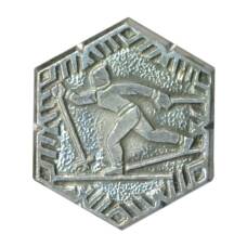 Значок Лыжный спорт