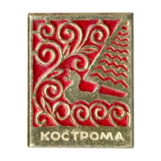 Значок Кострома