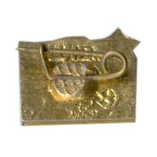 Значок Киев (вид 2)