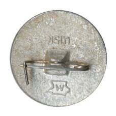 Значок Волгоград (вид 2)