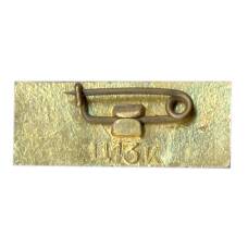 Значок Брест (вид 2)