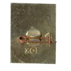 Значок Разлив (вид 2)