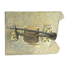 Значок Ульяновск (вид 2)