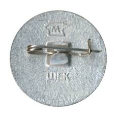 Значок Волгоград (вид 2)