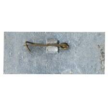 Значок Ростов-на-Дону (вид 2)