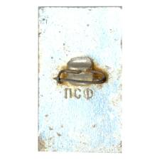 Значок Домбай (вид 2)