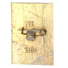 Значок Тбилиси (вид 2)