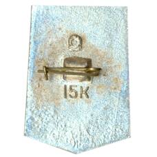 Значок Донецк (вид 2)