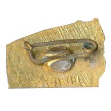 Значок Алма-Ата (вид 2)