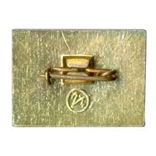 Значок Русь (вид 2)