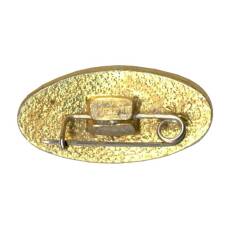 Значок Славич (вид 2)