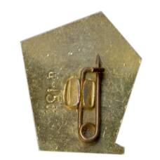 Значок Сочи (вид 2)