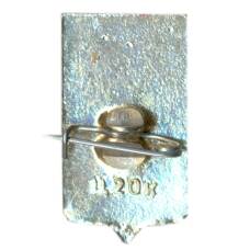 Значок Ростов (вид 2)