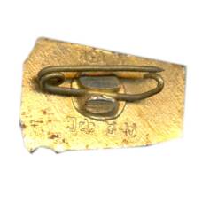 Значок Алма-Ата (вид 2)