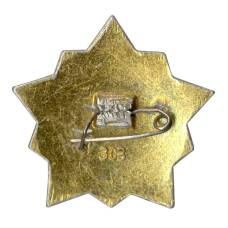 Значок Воин-спортсмен — II ступень (вид 2)