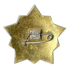 Значок Воин-спортсмен — II ступень (вид 2)