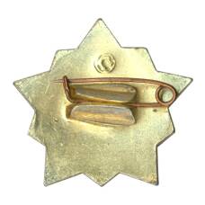 Значок Воин-спортсмен — II ступень (вид 2)