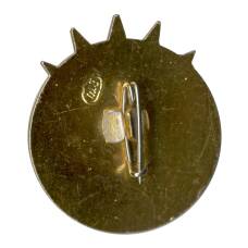 Значок 20 лет (вид 2)