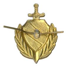 Петлица МВД России (вид 2)