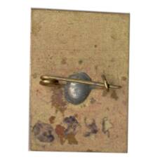 Значок Л.Н.Толстой (вид 2)