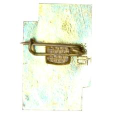 Значок В. Стефаник — 100 лет со дня рождения (вид 2)