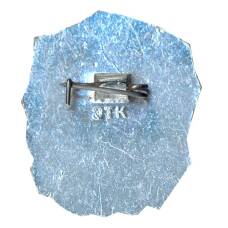 Значок Иван Франко (вид 2)