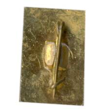 Значок Хоста (вид 2)