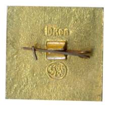 Значок  Ширдор (вид 2)