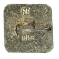 Значок Иваново — родина первого Совета (вид 2)