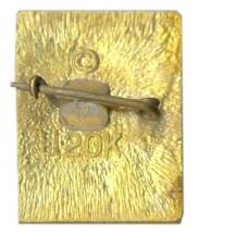 Значок А.С.Грин (вид 2)