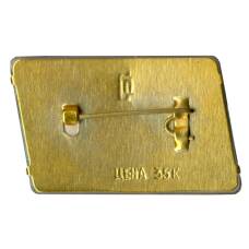 Значок Петродворец (вид 2)