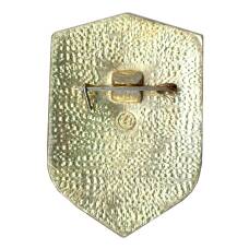 Значок Всероссийское Добровольное Пожарное Общество (ВДПО) (вид 2)