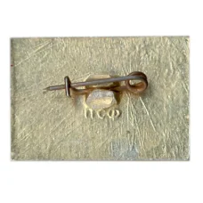 Значок Пятигорск (вид 2)