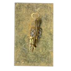 Значок Карпаты (вид 2)