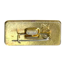 Значок ЗР (вид 2)