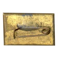 Значок Ленин (вид 2)