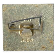 Значок На страже родины (вид 2)