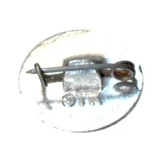 Значок поезд Москва-Бухарест (Советские железные дороги) (вид 2)