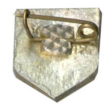 Значок Сосновка (вид 2)