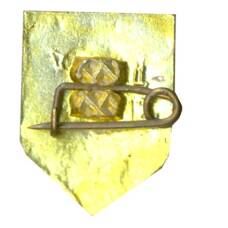 Значок Сосновка (вид 2)