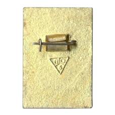 Значок Владимир (вид 2)