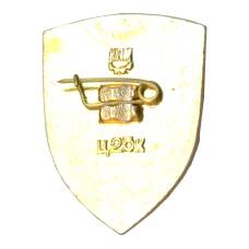 Значок Киев (вид 2)