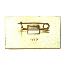 Значок Кисловодск (вид 2)