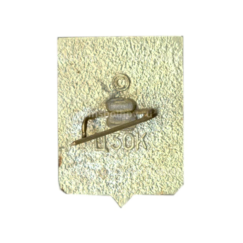 Значок Севастополь (вид 2)