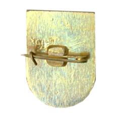 Значок Сочи (вид 2)