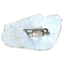 Значок Саратов (вид 2)